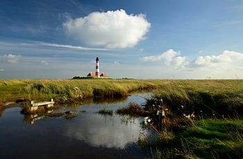 Kustidylle met vuurtoren