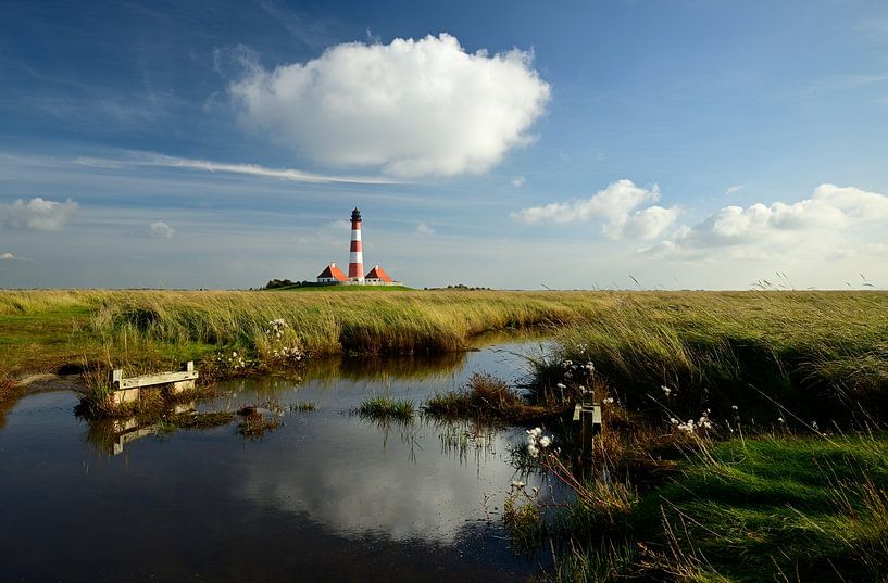 Küstenidyll mit Leuchtturm von Oliver Lahrem