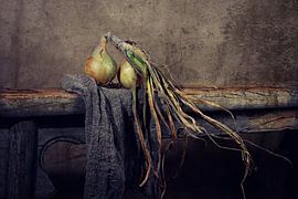 still life of onions from the land... (juun of tland) by Els Fonteine