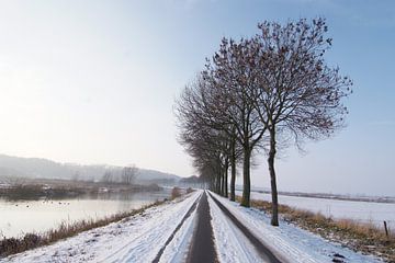 Winterse weg naar Ooij van Lucien Lecarme