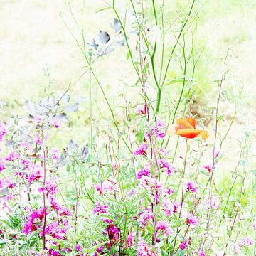 Fairy flowers