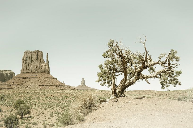 MONUMENT VALLEY West Mitten Butte and Tree | Vintage by Melanie Viola
