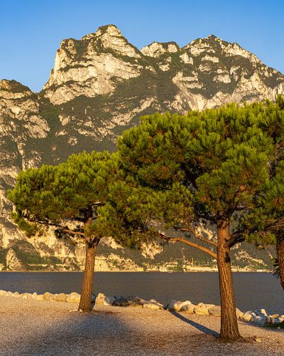 Lever de soleil sur le lac de Garde à Torbole sur la plage sur Daniel Pahmeier