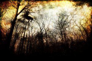 une forêt menaçante