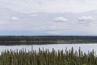 Lake in the woods