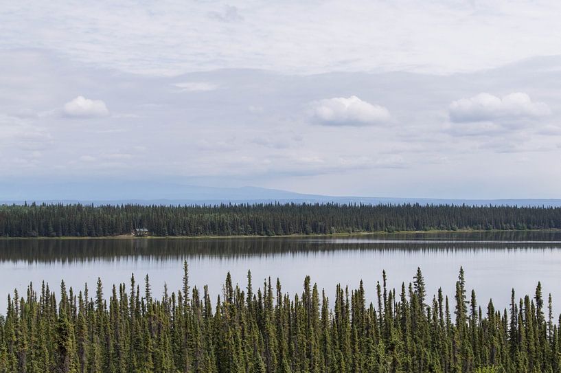 Lake in the woods by Dirk Fransen