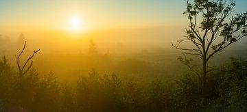 Nationaal Park de Alde Faenen in Friesland