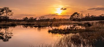 Zonsondergang op de Heide.