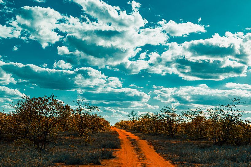 Empty road under a cloudy sky by Senten-Images Carlo Senten