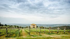 Tuscan vineyards by Angelica van den Berg