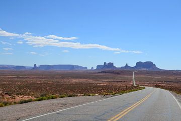 Monument Valley van Wessel Smit