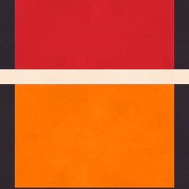 Contrasterende kleuren 3 van Vitor Costa