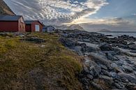 Boothuisjes op Lofoten van Frank Pietersen thumbnail