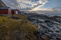 Boothuisjes op Lofoten