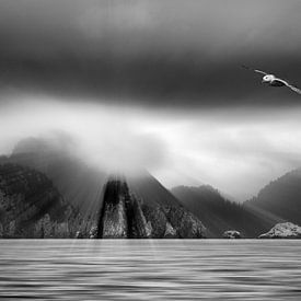Fjord im Süden Alaskas mit fliegendem Strohvogel (Fulmarus glacialis) in schwarz-weiß von Chris Stenger