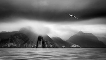 Fjord in zuid Alaska met vliegende stromvogel (Fulmarus glacialis) in zwart-wit van Chris Stenger