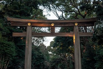 Torii poort bij zonsondergang van Stella Ammerlaan