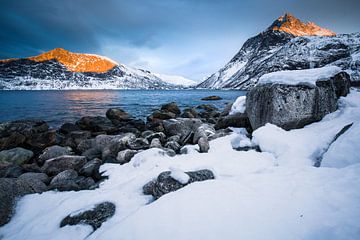 Winterlandschap in Senja / Lofoten, Noorwegen van Martijn Smeets