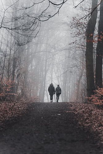 Autumn walk in the fog
