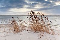 Noordsvaarder dawn II