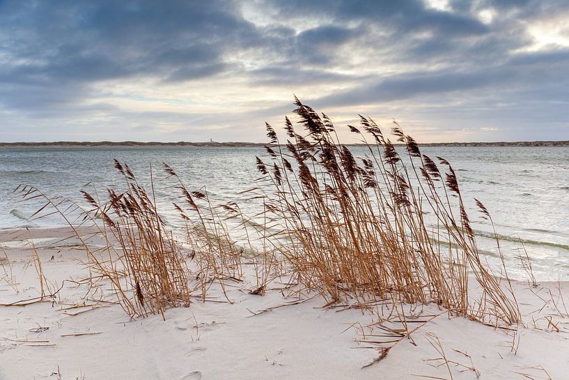 Noordsvaarder dawn II by Evert Jan Luchies