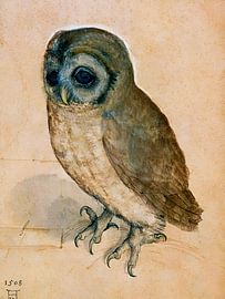 Albrecht Dürer - De uil (1512) van Timeless Artworks