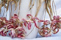 Antieke Tulpen met Vaas van Susan Hol thumbnail