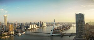 Panorama Rotterdam met Erasmusbrug en Zalmhaventoren van Ilya Korzelius