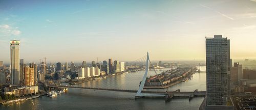Panorama Rotterdam met Erasmusbrug en Zalmhaventoren