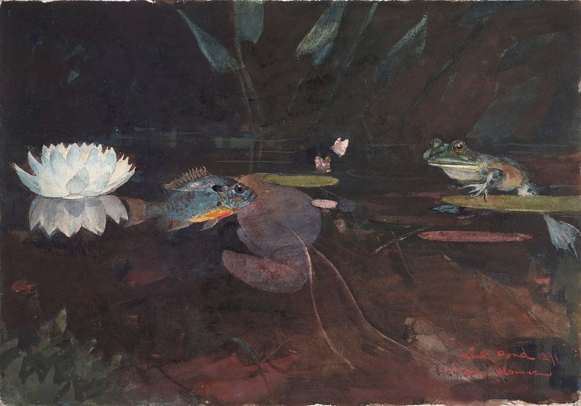 Winslow Homer-Pound mink by finemasterpiece