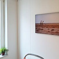 Photo de nos clients: Les girafes profitent de la vue par Tjana Photography, sur ArtFrame