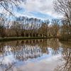 Reflection van Koen Ceusters