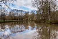 Reflection