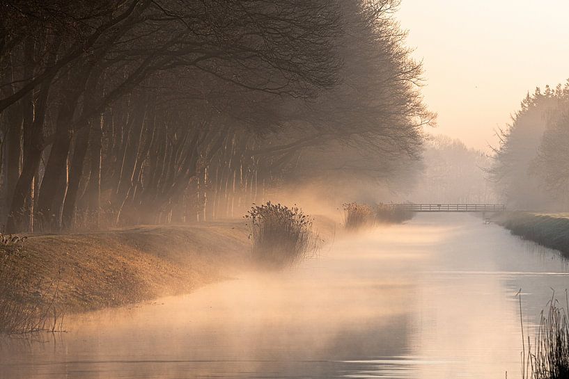 Nebliger Morgen, Morgengrauen... von Alex van den Akker