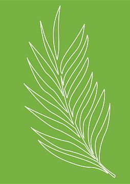 Minimalist Nature & Abstract Illustration Collection