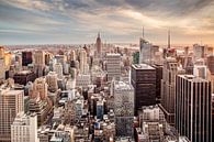 New York overzicht skyline van Anne Jannes thumbnail