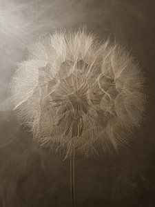 Gemeinsam als Einheit im Licht: Stille zum Loslassen