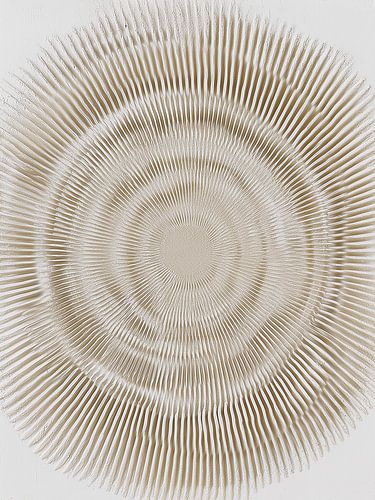 Waar ribbels resoneren met het licht