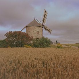 Ansicht der Mühle von Danny Vandebosch