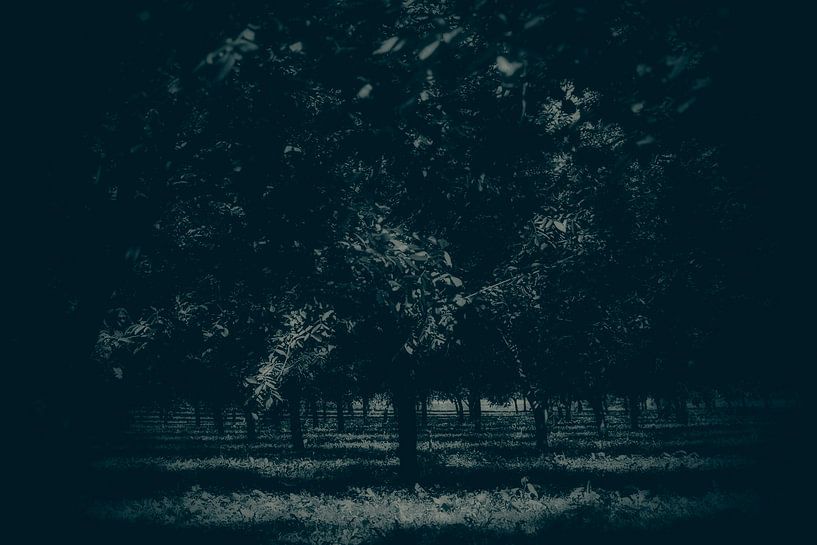 licht in de duisternis by Esther Swaager