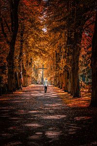 Autumn vibes Berlin von Iman Azizi