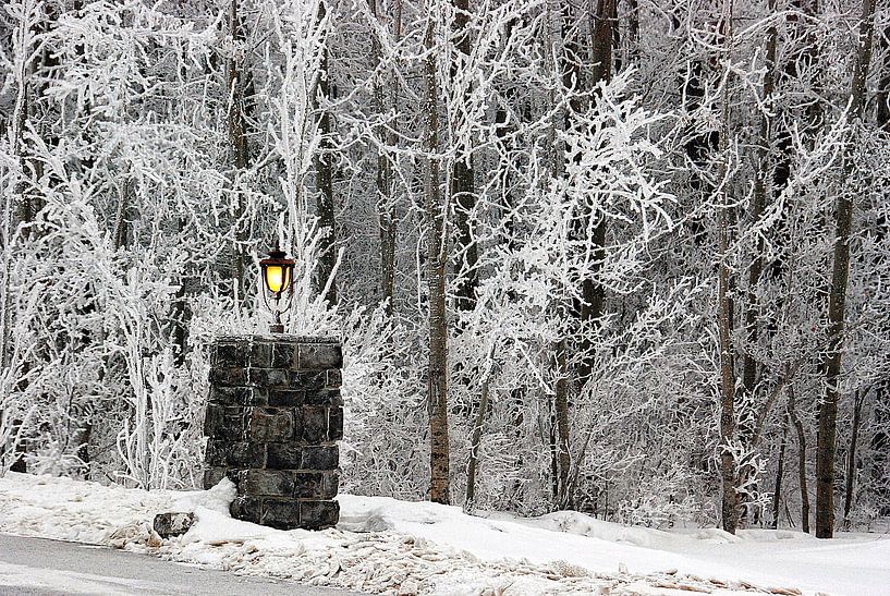 RIJP/FROST by Roelof Touw