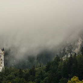 Neuschwanstein by Stefan Koeman