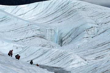 Gletsjer wandeling  van Menno Schaefer