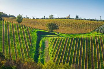 Chianti wijngaarden landschap in de herfst. Toscane, Italië van Stefano Orazzini