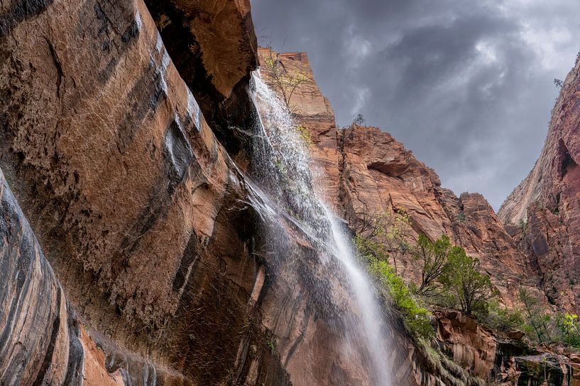 Zion National Park Wasserfall von Ab Wubben