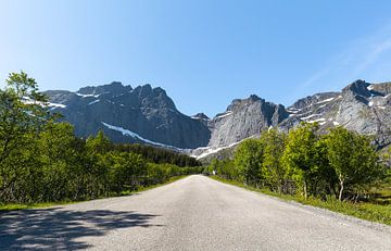 Roads of Norway by swc07