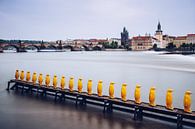 Prague – Yellow Penguins / Museum Kampa by Alexander Voss thumbnail