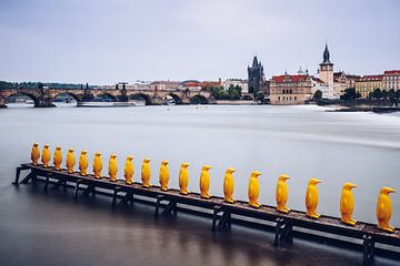 Prague – Yellow Penguins / Museum Kampa by Alexander Voss