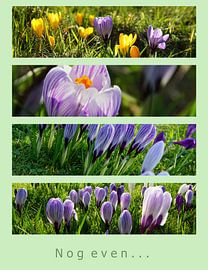 Voorjaar komt er aan by Dirk van Egmond